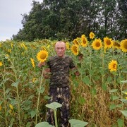  ,   , 55 ,   ,   , 
