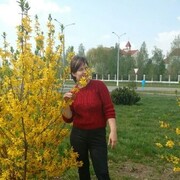 ���������� ����������, ���� ������� �����, 41 ���, ������������ ��� ������, ����� � ���������, c�������� ���������, ���������