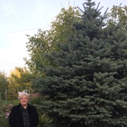 ���������� ������, ���� ������� �����, 71 ���, ������������ ��� ������, ����� � ���������, c�������� ���������