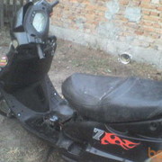  ,   Broza, 31 ,   