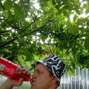  ,   , 60 ,   , 
