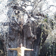  ,   Rasad, 46 ,   ,   
