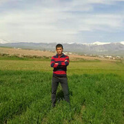 ���������� �����, ���� ������� ������, 35 ���, ������������ ��� ������, ����� � ���������