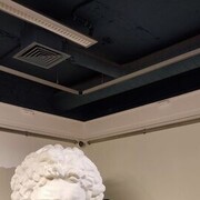 ���������� �����, ���� ������� ������, 41 ���, ������������ ��� ������, ����� � ���������, c�������� ���������