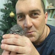  ,   Dima, 44 ,   ,   , 