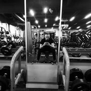 ���������� ����������, ���� ������� Art, 29 ���, ������������ ��� ������, ����� � ���������, c�������� ���������