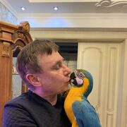 ���������� �������, ���� ������� ���������, 56 ���, ������������ ��� c�������� ���������