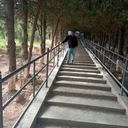  ,   , 46 ,   ,   