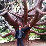 ,   Osman, 36 ,   