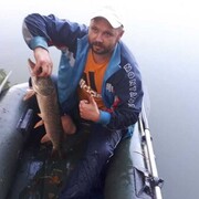  ,   , 42 ,   ,   