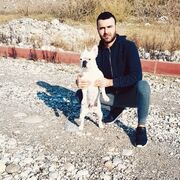  ,  acar, 31