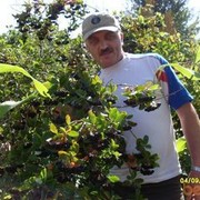  ,   , 57 ,   ,   , c 