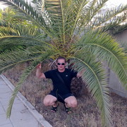 ���������� ���������, ���� ������� ������, 41 ���, ������������ 