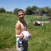  ,   WIKTOR, 32 ,   ,   