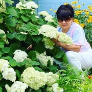  ,   , 52 ,   ,   , c , 