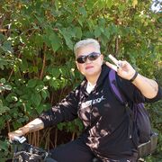 ���������� ������, ���� ������� �����, 54 ����, ������������ ��� ������, ����� � ���������, c�������� ���������