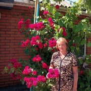  ,   , 62 ,   ,   