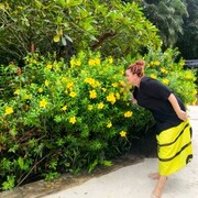 ���������� ���������, ���� ������� ���, 49 ���, ������������ ��� ������, ����� � ���������, c�������� ���������