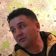  ,   SHED, 48 ,   ,   