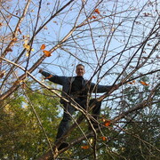 ���������� ������, ���� ������� �����, 53 ����, ������������ ��� ������, ����� � ���������, c�������� ���������, ���������