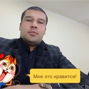  ,   Toy, 36 ,     , c , 
