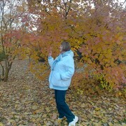  ,   , 68 ,  