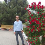 ���������� ���������, ���� ������� ������, 37 ���, ������������ ��� ����� � ���������, c�������� ���������, ���������