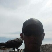 ,   , 29 ,   ,   , c 
