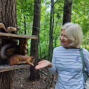 ���������� �����, ���� ������� ��������, 60 ���, ������������ ��� c�������� ���������