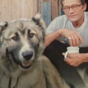  ,   , 65 ,   ,   