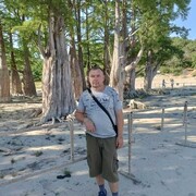 ���������� ���������, ���� ������� ����, 50 ���, ������������ ��� ������, ����� � ���������, c�������� ���������