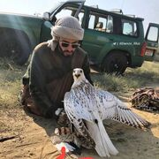 ���������� ������, ���� ����� ���, 25 ���, ������������ ��� ������, ����� � ���������, c�������� ���������