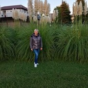  ,   , 55 ,   c , 