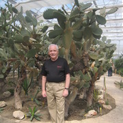 2014 �. ��������