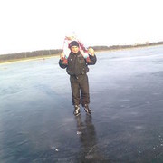 ���������� �����, ���� ������� �������, 67 ���, ������������ ��� ������