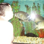 ���������� �����, ���� ������� Susha87, 38 ���, ������������ ��� ������, ����� � ���������, c�������� ���������