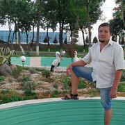 ���������� �������, ���� ������� ��������, 44 ����, ������������ ��� ������, ����� � ���������