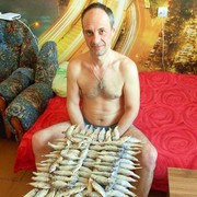  ,   , 56 ,  