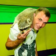 ���������� �����-���������, ���� ������� ������, 36 ���, ������������ ��� ������, ����� � ���������, c�������� ���������