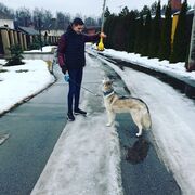 ���������� ������, ���� ������� �������, 28 ���, ������������ ��� ����� � ���������, c�������� ���������