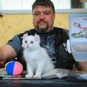 ���������� ����� �������, ������� �������, 46