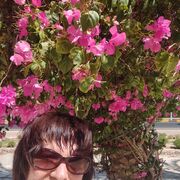  ,   , 65 ,   ,   