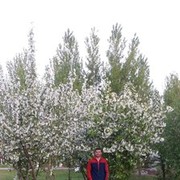  ,   , 36 ,   ,   , c 