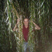  ,   , 51 ,   ,   , c , 
