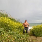 ���������� ����������, ���� ������� ��������, 51 ���, ������������ ��� ������, ����� � ���������, c�������� ���������