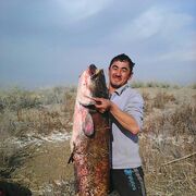  ,  muzaffar, 36