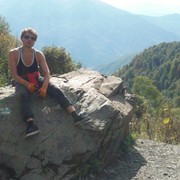  ,   Ampulex, 42 ,   ,   , c 