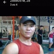   ,  Zamir, 31