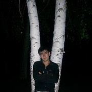  ,   Max, 37 ,   