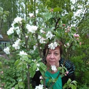 ���������� �����-���������, ���� ������� �������, 59 ���, ������������ ��� ����� � ���������, c�������� ���������